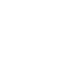 Halston B2B logo
